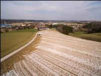 Branntkalk im Frühjahr 20
