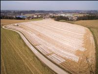 Branntkalk im Frühjahr 17
