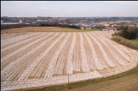 Branntkalk im Frühjahr 12