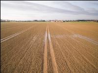 DJI 0015 (1)