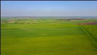 Agrarsteppe 7