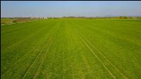 Agrarsteppe 6
