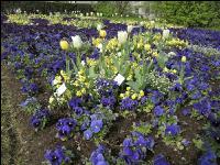 Landesgartenschau Kremmsünster