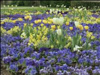 Landesgartenschau Kremmsünster