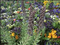 Landesgartenschau Kremmsünster