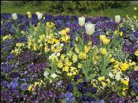 Landesgartenschau Kremmsünster