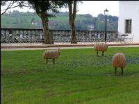 Landesgartenschau Kremmsünster