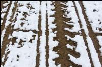 Schnee nach Maissaat 1