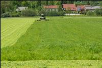 Dauerwiese mähen 17