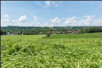 Dauerwiese mähen 16