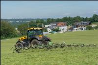 Grünfutter zetten 17