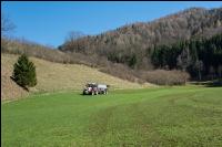 Gülle auf Dauerwiese 16