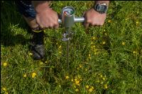 Penetrometer Grünland 1