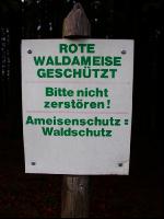 Waldameise 1