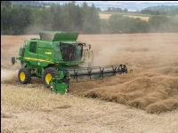 Raps Ernte 255