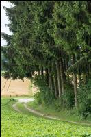 Feldweg 2