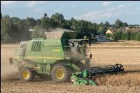 Erbsen Ernte 14