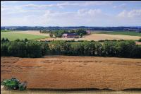 Raps Ernte 275