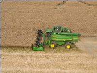 Raps Ernte 285
