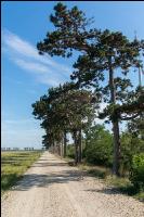 Feldweg 4