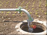Irrigation 14