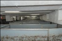 Tierwohlstall 9