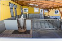 Tierwohlstall in Bau 5