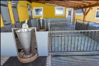 Tierwohlstall in Bau 2