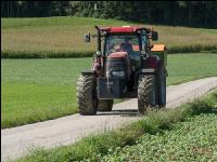 Raps Herbstdüngung 14