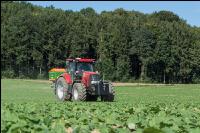 Raps Herbstdüngung 1