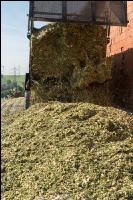 Shredlage Maissilage 3