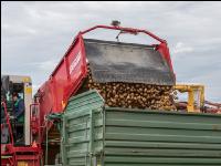 Industriekartoffel Ernte 81