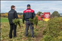 Industriekartoffel Ernte 73