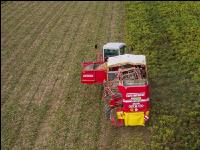 Industriekartoffel Ernte 68