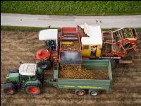 Industriekartoffel Ernte 67