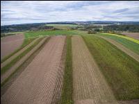 Industriekartoffel Ernte 64