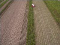 Industriekartoffel Ernte 63