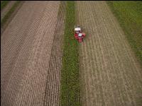 Industriekartoffel Ernte 62