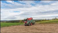 Industriekartoffel Ernte 53