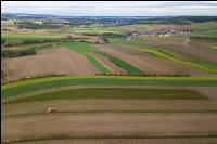 Industriekartoffel Ernte 48