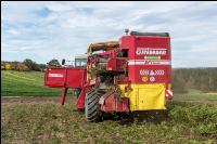 Industriekartoffel Ernte 37