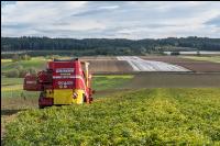 Industriekartoffel Ernte 33