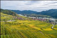 Wachau 38
