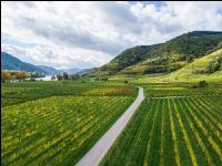 Wachau 36