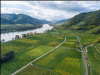 Wachau 35