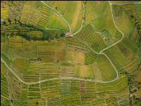 Wachau 29