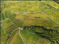 Wachau 28