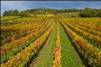 Wachau 27