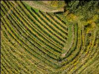 Wachau 21