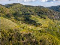 Wachau 20